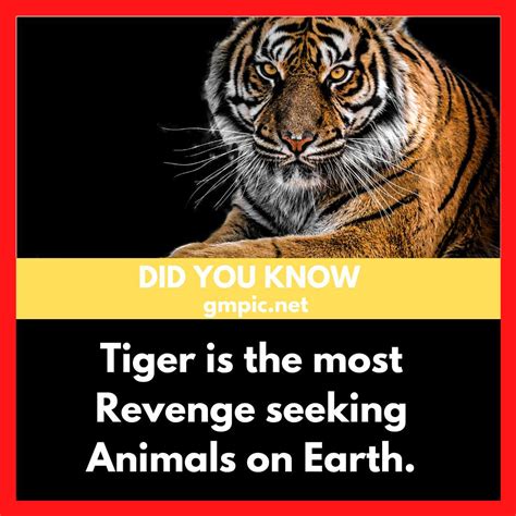 Biological Fact Amazing Facts Tech Facts 10