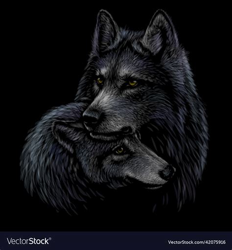 Wolves Graphic Portrait Of A Pair Of Royalty Free Vector
