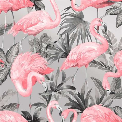 Pink Flamingo Laptop Wallpapers Top Free Pink Flamingo Laptop