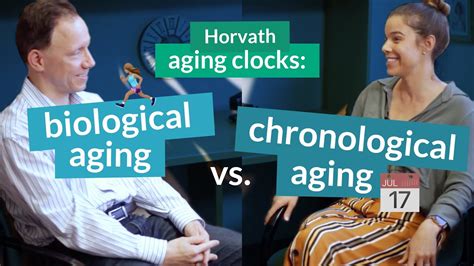 Horvath Epigenetic Aging Clocks Measure Two Types Of Age Biological