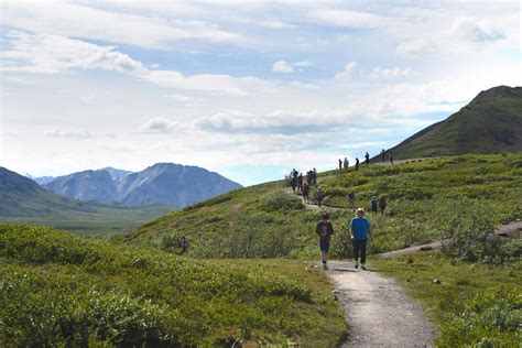 Denali National Park Tours Great Alaskan Backcountry Adventures