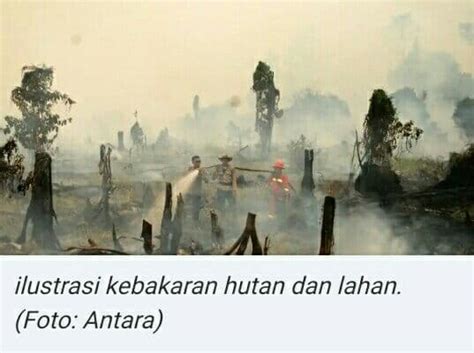 Jokowi Tak Ada Kompromi Bagi Pembakar Hutan Desa Pematang Rahim