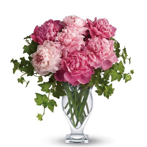 June is the peak of summer in india. Flowers in Season: May | Wedding, Flower and November wedding