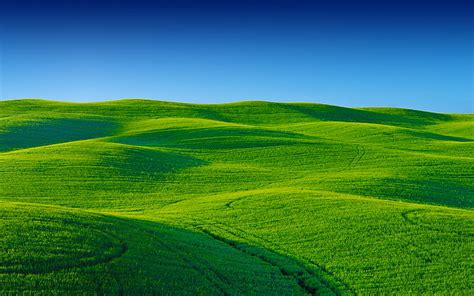 Greenary Landscape Green Blue Landscape Scenery Sky Greenary Hd Wallpaper Wallpaperbetter