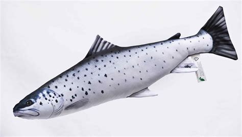 Discover the underwater world with gaby pillows 🐟 high quality products entirely made in poland ✉️ contact/shop: Nowe zabawki-poduszki dla dzieci|Gaby FishPillows