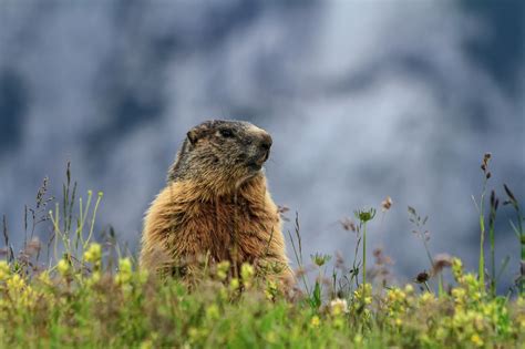 Solopreneur Lessons from Groundhog Day · Solopreneur Academy