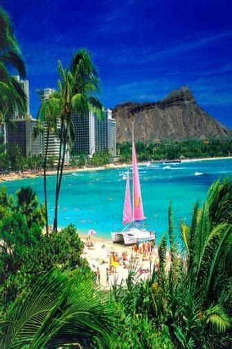 Free Download Download Waikiki Beach Hotel Pictures