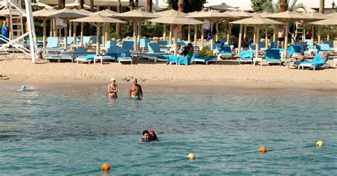 Second Tourist Found Dead After Shark Attack In Egyptian Sea Pledge Times