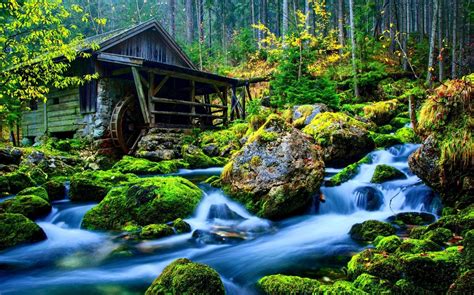 15 Beautiful Nature Hd Images Free Downloads Basty Wa