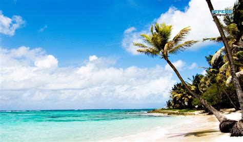 43 Caribbean Beach Wallpaper