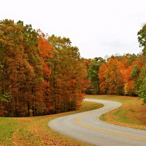 Fall Colors On The Natchez Trace Parkway In Tennessee Autumn 2015