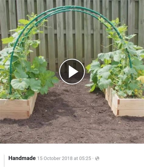 Pin By Diane Hines On Gardening Ideas Garden Trellis Cucumber