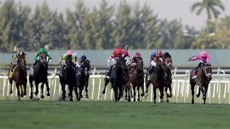 Equibase off to the races tampa bay downs suggested wagers. Tampa Bay Downs Horse Racing Picks for Wednesday 12/9/20