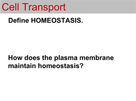 The cell membranefunctions as a boundary separating the internal cellular environment from the external environment. Cell Transport Define HOMEOSTASIS. How does the plasma ...