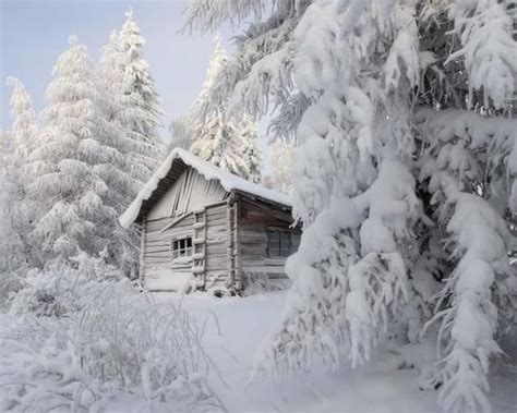 Beautiful Winter Cabin Photo Pictures Photos And Images