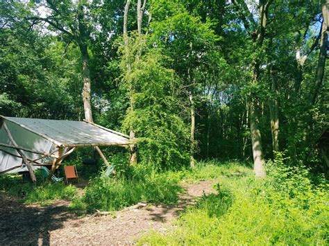 Explore camper reviews and photos of the campgrounds in bighorn national forest. Glamping In A Treehouse at Brook House Woods, Herefordshire