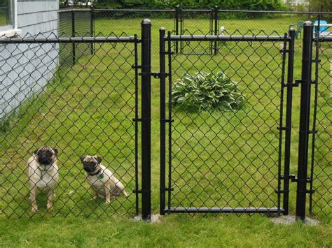 Dog Fencing For Camping Rickyhil Outdoor Ideas Dog Fencing For