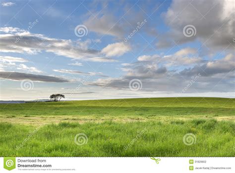 Green Field And Blue Cloudy Sky Stock Photo Image Of