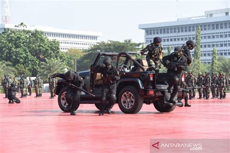 Program Magang TNI: Peluang Berkarir di Militer