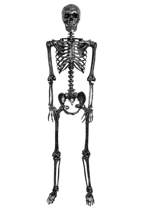 Lifesize Black Skeleton