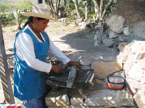 Flint corn (zea mays var. Preparing Grain Corn for Cooking - Farm and Garden - GRIT ...