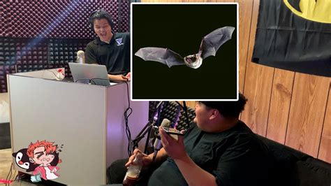 Are Bats Really Blind Shlumpedcast Youtube