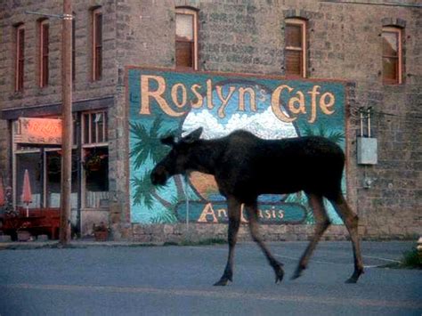Die bewohner cicelys leiden unter dem vollmond, sie schlafen schlecht und sind misslaunig. Ausgerechnet Alaska (Northern Exposure) - Die Serie ...