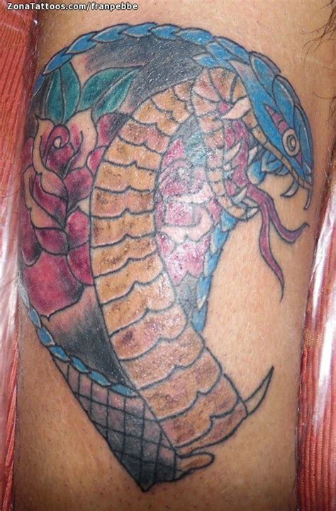 Tattoo Of Cobras Snakes Animals