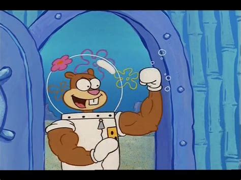 Our database has everything you'll ever need, so enter & enjoy ;) 184 best images about Arenita Mejillas/Sandy Cheeks on ...