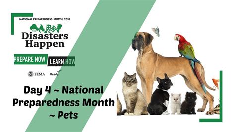 Day 4 National Preparedness Month Pets Youtube