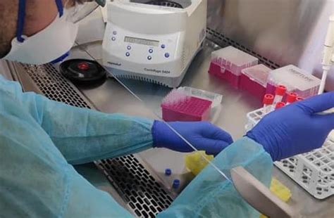 Město brno další postup zvažuje i kvůli tomu, že ministerstvo zdravotnictví také plošné testování učitelů zvažuje. Antigenní test v rámci plošného testování je zdarma, má ...