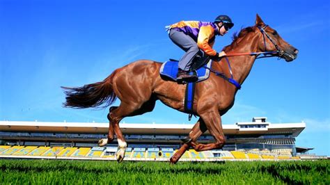 Randwick Tips Big Bets And Market Movers For Epsom Day Daily Telegraph