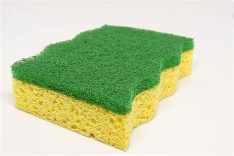 Reasons For Washing The Kitchen Sponge Throughly Cleaning Service Clearwater
