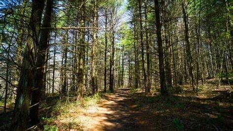 June 10 at 6:00pm meeting room Settlers Cabin Park - An Easy Hike to a Mini Waterfall