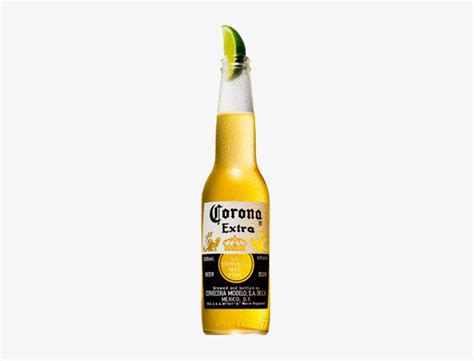Are you searching for vin diesel png images or vector? Corona Beer Bottle Png - Vin Diesel With Beer PNG Image ...