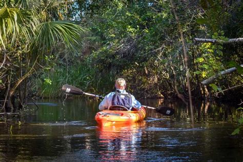 Everglades City Guided Kayaking Tour Of The Wetlands Getyourguide