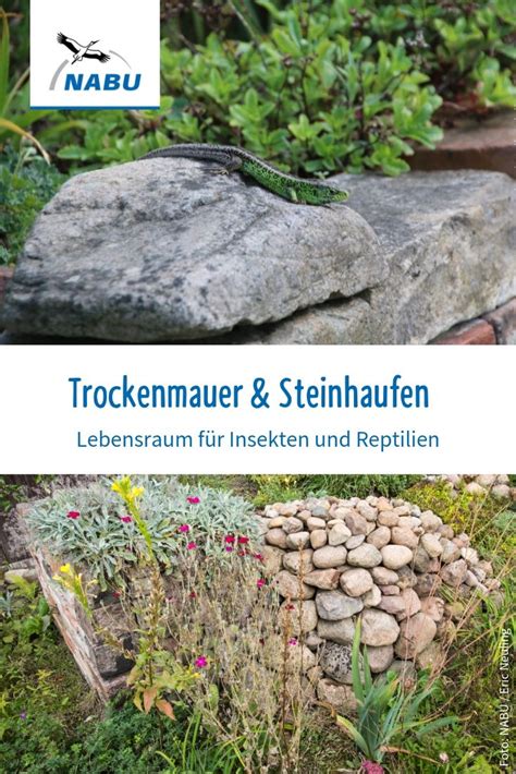 Jedes bringt seinen eigenen nutzen und schaden gärtnern. Steinhaufen oder Trockenmauer anlegen - NABU | Steinhaufen ...