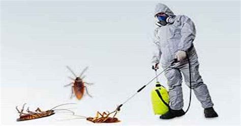 We specialize in providing cockroach pest control services. Tips to Select the Best Cockroach Control Services ...