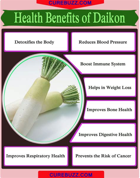 Health Benefits Of Daikon Curebuzz