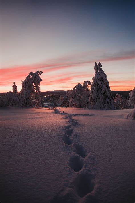 Photographer Kirsi Tasala Capturing Winter Magic Visit Finnish Lapland