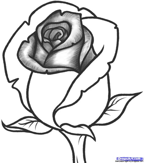Udemy.com has been visited by 100k+ users in the past month Easy Pictures Of Roses To Draw | Wallpapers Gallery