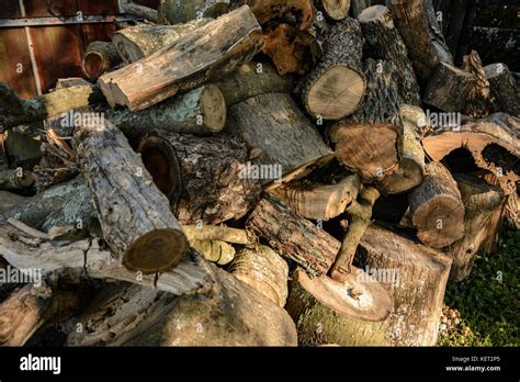 Pile Of Firewood Waiting To Be Split Stock Photo Alamy