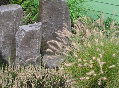 Some dwarf fountain grasses (pennisetum alopecuroides), hardy in zones 5 to 9, can tolerate partial shade. Piglet small fountain grass
