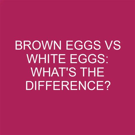 Brown Eggs Vs White Eggs Whats The Difference Differencess