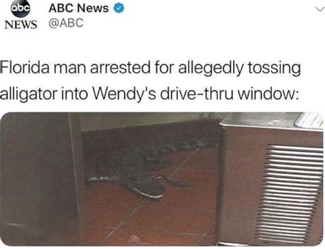 Florida Man Arrested For Allegedly Tossing Alligator Into Wendys Drive Thru Window Ifunny
