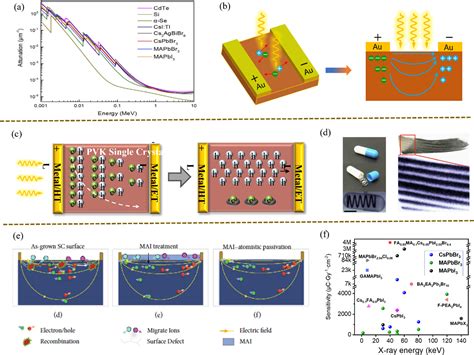 Advances In The Synthesis Of Halide Perovskite Single Crystals For