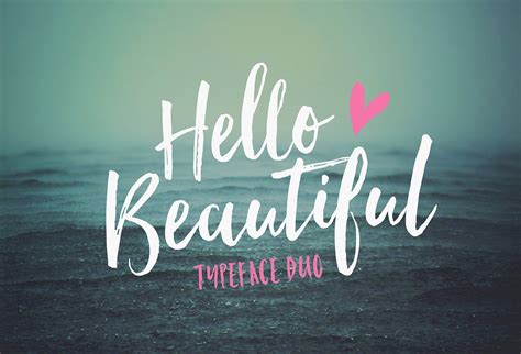 70 Beautiful And High Quality Brush Script Fonts Of 2017