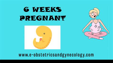 6 Weeks Pregnant Pregnancy Symptoms Development Twins Ultrasound
