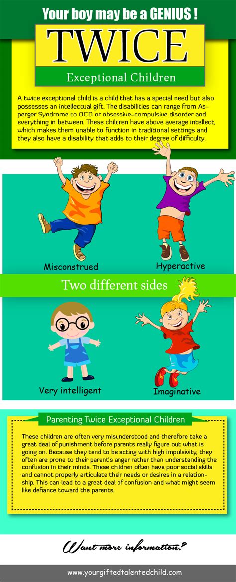Twice Exceptional Children Visually