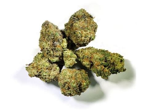 Gorilla Glue 4 General Features Growing And Effects The Cbd Daily